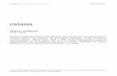 Resena Gallipoli 5 - CAIAcaiana.caia.org.ar/resources/uploads/10-pdf/Resena... · 2017-08-13 · la cuarta entrega de la serie Documentos para la Comprensión de la Historia del Arte