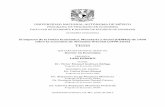 FACULTAD DE ECONOMÍA DIVISIÓN DE ESTUDIOS DE POSGRADOpaginaspersonales.unam.mx/files/1557/tesis.pdf · 2017-09-03 · UNIVERSIDAD NACIONAL AUTÓNOMA DE MÉXICO PROGRAMA DE POSGRADO