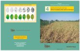 Cartilla de difusión técnica: Enfermedades del cultivo de soya · 2019-04-01 · Agente causal Enfermedades foliares causadas por hongos Roya asiática (Phakopsora ) Macha anillada