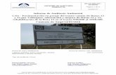 Informe de Auditoría Ambiental C/61 - Pavimentación en ...€¦ · Informe de Auditoría Ambiental C/61 - Pavimentación en pasaje del tramo común de Rutas 13 y 15 por Velázquez,