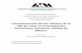 Caracterización de los efectos de la isla de calor en la Delegación …dcsh.izt.uam.mx/licenciaturas/geografiahumana/wp-content/... · 2019-07-11 · El incremento de la temperatura