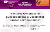 Factores Genéticos de Susceptibilidad a Desarrollar Cáncer ...tie.inspvirtual.mx/recursos/ciclo_videoconferencias/vci-3_Dr-Madrid.p… · CONCLUSIONES Los linfocitos T periféricos