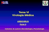 Tema VI Virología Médica - Infomeduvsfajardo.sld.cu/sites/uvsfajardo.sld.cu/files/arbo... · 2017-02-06 · prácticas de riesgo en regiones selváticas donde existen los posibles
