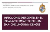 INFECCIONES EMERGENTES EN EL EMBARAZO E ......bajo peso ni malformaciones en madres Con dengue en el embarazo 3898 mujeres embarazadas con dengue confirmado RIESGO DE PARTO PREMATURO