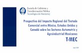 Prospectiva del Impacto Regional del Tratado Comercial entre …comisiones.senado.gob.mx/economia/presentaciones/ITESM... · 2019-08-06 · AUTOMOTRIZ DURANTE LA ERA DEL TLCAN (2019)