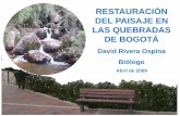 RESTAURACIÓN DEL PAISAJE EN LAS QUEBRADAS DE BOGOTÁ · 2016-10-14 · ecológicos en el paisaje. Introducción. Funcionamiento de las poblaciones en el paisaje. Relaciones interespecíficas