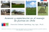 Avances y experiencias en el manejo de purines en Chile · 2018-07-03 · Avances y experiencias en el manejo de purines en Chile Francisco Salazar Sperberg, Ing. Agr., Ph,D. Seminario: