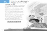 5 Expresiones algebraicas - WordPress.com121 SolucionaSolucionaRio 5 DESCUBRE LA HISTORIA… 1 Busca información sobre el papiro de Rhind y otros papiros que se conserven en la actualidad
