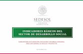 INDICADORES BÁSICOS DEL SECTOR DE DESARROLLO SOCIAL · Carencia por acceso a la seguridad social 60.7 69.6 61.2 71.8 58.5 70.1 ... Población afiliada a otras instituciones 1.4 1.6