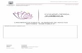 LINEAMIENTOS PARA EL ALBERGUE DE ADULTOS MAYORES …marcojuridico.morelos.gob.mx/archivos/varios/pdf/Linea... · 2019-04-10 · normas de operación esenciales que garanticen un servicio