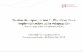 Sesión de capacitación 1: Planificación e implementación de la …euroclimaplus.org/images/Gobernanza/taller-PDF/ultimos/... · 2019-08-16 · de la temperatura media mundial