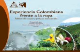 Presentado por: Fernando Gast Harders Director ......infección por roya del 27,6% al 12,1%. • Campaña “Colombia sin roya, un propósito nacional”. Una estrategia con el ...