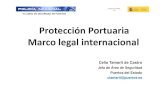 Protección Portuaria Marco legal internacional internacional cnp.pdf · VI CURSO DE SEGURIDAD EN PUERTOS 2004 EUROPA REG 725/2004 Obliga algunas partes de la parte B amplía a buques