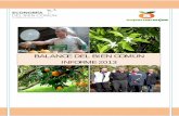 BALANCE DEL BIEN COMÚN - Supernaranjas.com...Supernaranjas es una empresa dedicada a la venta online de naranjas, mandarinas y sus productos derivados, como la mermelada, la miel