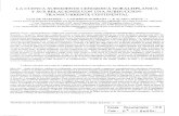La cuenca subsidente cenozoica noraltiplanica y sus relaciones …horizon.documentation.ird.fr/exl-doc/pleins_textes/... · 2013-10-16 · LA CUENCA SUBSIDENTE CENOZOICA NORALTIPLANICA