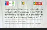 “Mejoramiento de la competitividad del rubro hortícola en La … · 2019-10-02 · “Mejoramiento de la competitividad del rubro hortícola en La Araucanía con el propósito