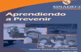 Aprendiendo a prevenir - BVPADbvpad.indeci.gob.pe/doc/pdf/esp/doc323/doc323-contenido.pdf · APRENDIENDO A PREVENIR INTRODUCCIÓN Actualmente se reconoce que la prevención y la atención