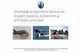 Diversidad de mamíferos marinos en Ecuador, especies ...cpps.dyndns.info/cpps-docs-web/planaccion/docs2017/septiembre-… · Diversidad de mamíferos marinos en Ecuador, especies,