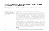 Tumor del estroma gastrointestinal (TEGI): terapia adyuvante … · 2017-07-31 · 426 R 31 4 2016 Repor para identificar los pacientes con TEGI que se pudieran beneficiar de la terapia
