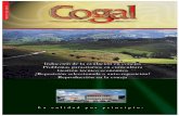 MAYO DE 2003 - Cogalcogal.net/pdf/2003.pdf · La coneja es una especie cuya ovula-ción no es espontánea, sino que es inducida por un reflejo neurohormonal iniciado por la monta