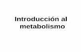 Introducción al metabolismodepa.fquim.unam.mx/amyd/archivero/3.2.METABOLISMOCONCEPT... · 2013-08-12 · Metabolismo • La suma de todas las transformaciones químicas que ocurren