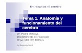 Dr. Pedro Montoya Departamento de Psicología Universitat ... · actividad eléctrica de lasactividad eléctrica de las neuronas en términos de milisegundos. No obstante, el EEG