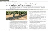 Estrategias de gestión del agua en el viñedo de vinificación · 2009-05-27 · za porque la planta prioriza desarrollo vegetativo frente a desarrollo fructífero. Durante esta