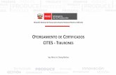 OTORGAMIENTO DE CERTIFICADOS CITES - TIBURONES · 2019-12-16 · Acuerdo internacional cuya finalidad es custodiar que el comercio internacional de especímenes de animales y plantas