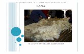 Cosecha de lana 1 - CNSPOspo.uno.org.mx/wp-content/uploads/2011/07/cosechadelana1.pdf · 2011-07-25 · Tipos de lana “no vellón” Lanas que se integran para otros usos Pedazos