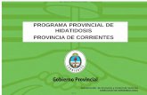 PROGRAMA PROVINCIAL DE HIDATIDOSIS …...•Programas de capacitación a la población en general (escuelas y centros comunitarios rurales) Programa de control y prevención de la
