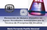 Remoción de Metales Pesados en Aguas Residuales ...catarina.udlap.mx/u_dl_a/tales/documentos/leia/padilla_s...Eficiencia de remoción de metales Eficiencia de remocion de metales