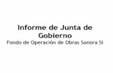 Informe de Junta de Gobiernotransparencia.esonora.gob.mx/NR/rdonlyres/4B46DB6F-ADDE... · 2020-04-06 · Avances al 31 de diciembre 2011 El avance actual del Proyecto Integral es