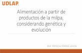 México y la milpa, genética y evolución en la …someicca.com.mx/wp-content/uploads/S19-28-Alimentación...Latinoamérica es cuna del mestizaje occidental debido a la rica amalgama