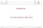 Introducción a SQL Plus - Kybele · PL/SQL BD - PL/SQL-5 Conexión a SQL*Plus Arrancar SQL*Plus Línea de comandos Accesos Directos a la aplicación GUI Nombre/Usuario/SID Escritura