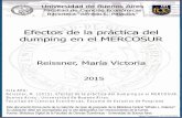 Efectos de la práctica del dumping en el MERCOSUR157.92.136.59/download/tpos/1502-0348_ReissnerMV.pdf · Efectos de la práctica del dumping en el MERCOSUR. Buenos Aires: Universidad