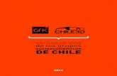 ESTILOS DE VIDA de los grupos socioeconómicos DE CHILE · 2020-02-21 · ESTILOS DE VIDA DE LOS NUEVOS Grupos Socioeconómicos en Chile Para quienes nos dedicamos a estudiar a las