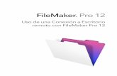 FileMaker Pro 12...Las conexiones ICA se han probado y se admiten con el protocolo TCP/IP al ejecutar FileMaker Pro en Citrix XenApp. Nota Si dispone de clientes de Servicios de Escritorio