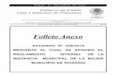 Folleto Anexo - Chihuahua€¦ · Se crea el organismo municipal centralizado denominado Instancia Municipal de la Mujer en el Municipio de Rosario, que constituye la unidad administrativa