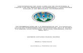 UNIVERSIDAD DE SAN CARLOS DE GUATEMALA FACULTAD DE ... MV German Rodas.pdf · Centro de Estudios en Salud (CES) de la Universidad del Valle de Guatemala (UVG). Técnico del Laboratorio