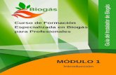 Curso de Formación Especializada en Biogás para Profesionales4echile.cl/4echile/wp-content/uploads/2017/11/Biogas... · 2019-06-28 · Módulo 5 Curso de Formación Especializada