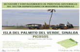 Í ndice - AgroDer Picosos (Isla...La producción de chile, o los “picosos” como los llaman localmente, se realiza generalmente con uso de agroquímicos y altos riesgos para la