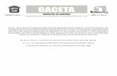 GACETA - H. Ayuntamiento de Nezahualcóyotlneza.gob.mx/publicaciones/gacetas/2013/Agosto.pdfaprueba el programa municipal de estÍmulos fiscales para el pago de los impuestos predial