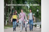 Experiencia internacional en México · 2019-01-25 · • Tec de Mty: del 110 en 2012, al 101 en 2017 • U. Sao Paolo ... el 145. Acreditaciones En el campo de ingeniería, humanidades,