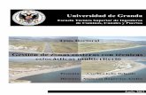 Editor: Editorial de la Universidad de Granada ISBNhera.ugr.es/tesisugr/22507978.pdfC, toma de decisión bajo incertidumbre..... 56 Figura 6. Diagrama evaluación de la incertidumbre
