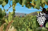 VINO Castellano (2013) 2 - Bodegas Francisco Gomez · hoy me entrego como mi gran pasión, lo ... Destaca su color cereza picota intenso y aroma clásico mediterráneo de uvas pasas.