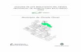 Municipio de Choele Choel - CEAERceaer.edu.ar/wp-content/uploads/2017/07/CHOELE-CHOEL.pdf · Municipio de Choele Choel GOBIERNO DE RÍO NEGRO. GOBIERNO DE RÍO NEGRO Gobernador de