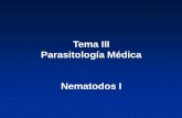 Tema III Parasitología Médica Nematodos Iuvsfajardo.sld.cu/sites/uvsfajardo.sld.cu/files/iii... · 2016-04-20 · 1. Enumerar las características morfológicas típicas de E. vermicularis