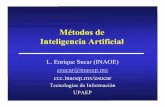 Métodos de Inteligencia Artificial - INAOEesucar/Clases-MetIA/MetIA-11.pdf1.Encontrar un “esqueleto” (grafo no dirigido) 2.Encontrar arcos convergentes en tripletas de variables