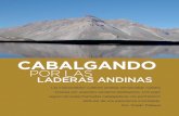 CABALGANDO - Argentina Ambientalargentinambiental.com/wp-content/uploads/pdf/AA44-70-Cabalgando... · que aparecían sobre la cadena montañosa que nos rodeaba. El frio había formado