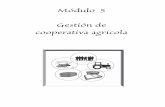Módulo 5 Gestión de cooperativa agrícola · Divida a los participantes en grupos y pídales que analicen el papel del liderazgo dentro de la cooperativa y registre lo que ellos